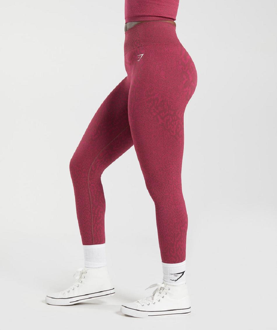 Leggins Gymshark Adapt Animal Seamless Mujer Rosas Marrones | CO 2885HAP